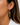 Sardine Fish Earrings